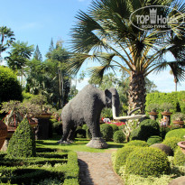 фото из отзыва ID 1118477