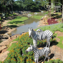 фото из отзыва ID 1118477