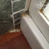 фото из отзыва ID 1118530