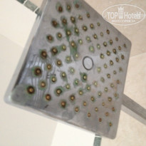 фото из отзыва ID 1118530