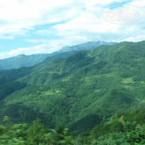 фото из отзыва ID 1118709