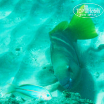 фото из отзыва ID 1118773