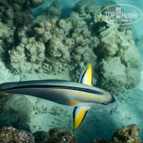 фото из отзыва ID 1118773