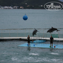 фото из отзыва ID 1118796