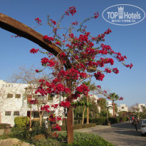 фото из отзыва ID 1118846