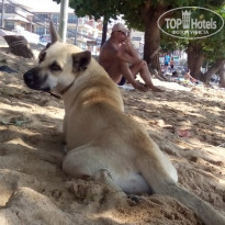 фото из отзыва ID 1118961