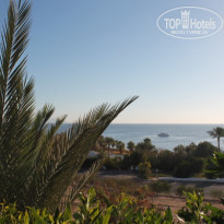 фото из отзыва ID 1118991