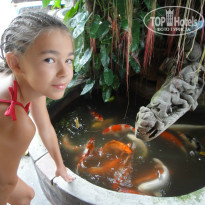 фото из отзыва ID 1117966