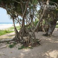 фото из отзыва ID 1119161