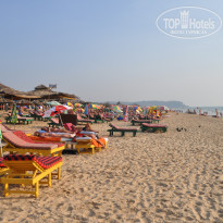 фото из отзыва ID 1119589