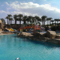 фото из отзыва ID 1119591