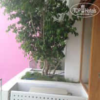 фото из отзыва ID 1119676