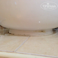 фото из отзыва ID 1119899