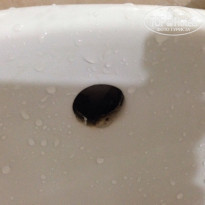 фото из отзыва ID 1119899