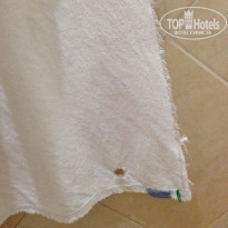 фото из отзыва ID 1119899