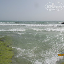 фото из отзыва ID 1119634