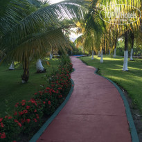 фото из отзыва ID 1119580