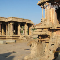 фото из отзыва ID 1119022