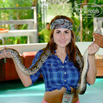 фото из отзыва ID 1110522