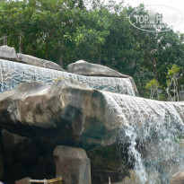 фото из отзыва ID 1115304