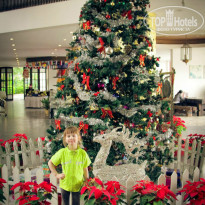 фото из отзыва ID 1119666