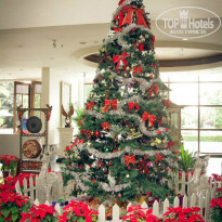 фото из отзыва ID 1119666