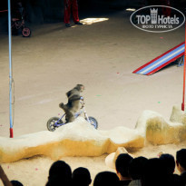 фото из отзыва ID 1119666