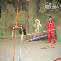 фото из отзыва ID 1119666