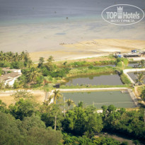 фото из отзыва ID 1119666