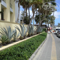 фото из отзыва ID 1116081