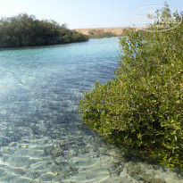 фото из отзыва ID 1116433