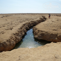 фото из отзыва ID 1116433