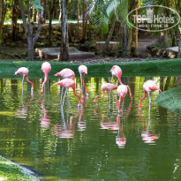 фото из отзыва ID 1117487