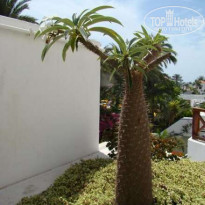 фото из отзыва ID 112122