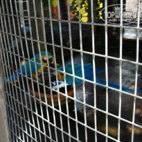 фото из отзыва ID 112143