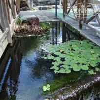 фото из отзыва ID 112143