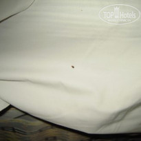 фото из отзыва ID 112165