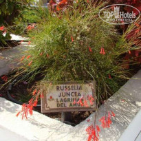 фото из отзыва ID 112738