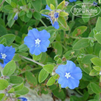 фото из отзыва ID 112738