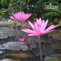 фото из отзыва ID 112754