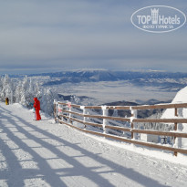 фото из отзыва ID 1120146