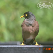 фото из отзыва ID 1120353