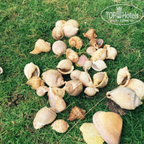 фото из отзыва ID 1120357