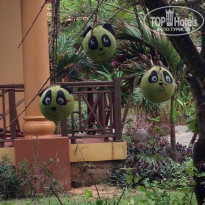 фото из отзыва ID 1120357