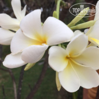 фото из отзыва ID 1120357