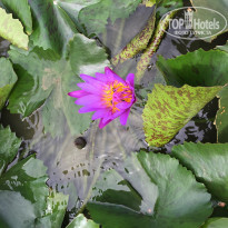 фото из отзыва ID 1120357