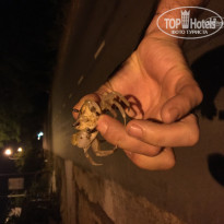 фото из отзыва ID 1120357