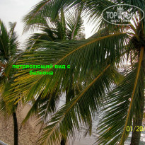 фото из отзыва ID 1120548