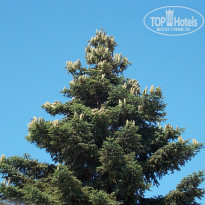 фото из отзыва ID 1120601