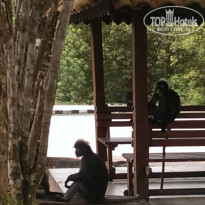 фото из отзыва ID 1120663